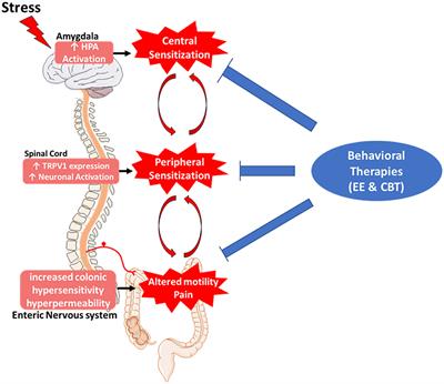 Frontiers | Importance Of Non-pharmacological Approaches For Treating ...